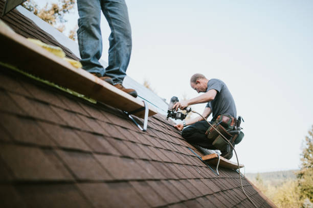Best Roof Gutter Cleaning  in Hackleburg, AL